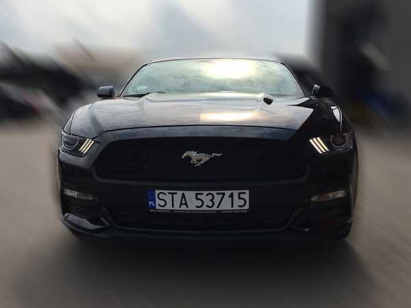 Samochód sportowy Ford Mustang 2015 do wypożyczenia