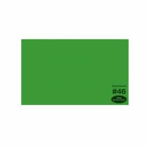 SAVAGE TŁO KARTONOWE 2,7M X 11M TECH GREEN #46 - GREEN BOX  do wypożyczenia
