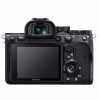 Aparat fotograficzny Sony A7R IV body + Sigma MC-11 na Canon EFEF-S - zdjęcie 1